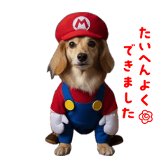 masuyanDESU!