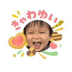 P_20260505213931