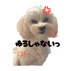 Kisaki_20260505213946