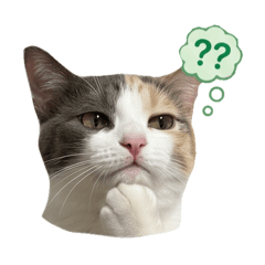 nekokawaiinechan_20260505220551