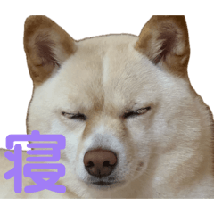 diyan
