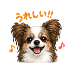 Haru_20260505212802