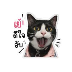 Tipsuda29_20260428145929