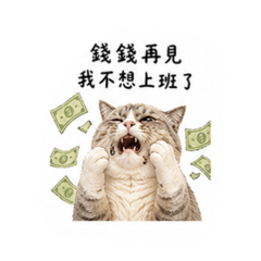 三個寶寶們