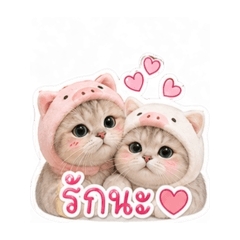 Kan_20260428150237