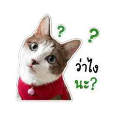Dada The Cat v1