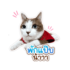 Dada The Cat v2
