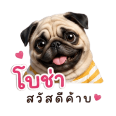 Bocha2
