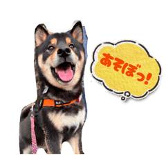 kotasuta_20260505222632
