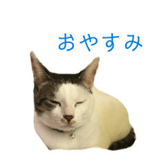 Miyumugi_20260505222543