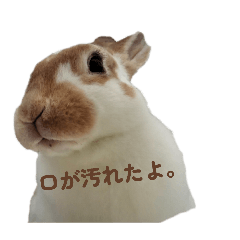 Ryota Nishi_20260505222746
