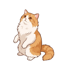 ktuky