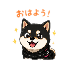 mame-goma_20260505223047