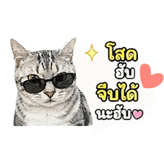 Pangping Nabtang MK
