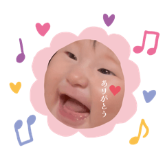 Koa_20260505223700