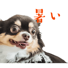 reeei_20260505224317