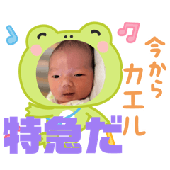 fis_20260505225124