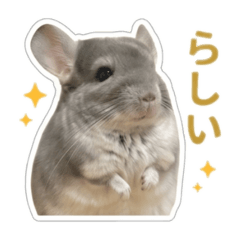 miyu_20260505225110