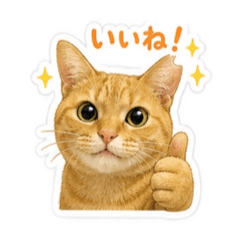 Myako_20260505225252