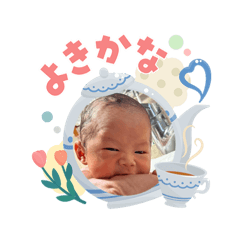 Daizu_20260505225535
