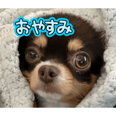 reeei_20260505225442