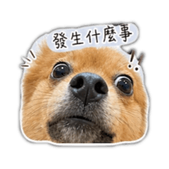 咘咘實用貼圖