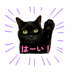 aiko_20260505212730
