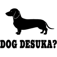 Hakata Dachshund