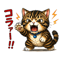 Tom's Kansai Rage Mode Stickers