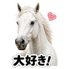 Can be used every day for horses