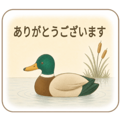 Sumika garden_20260505220509