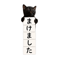 tatara board game_20260505225954