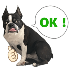 nico stamps created 2