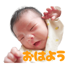 apopo_20260505225939