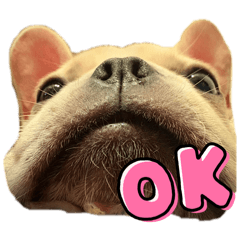buuuuu_20260505225959