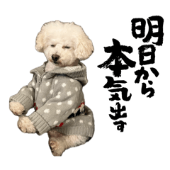 m_20260505230649