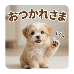 maju_20260505230811