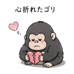 PON_20260505231757