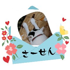 mahataku_20260505232338