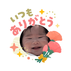 papy_20260505232627