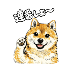 ohikarisan_20260505232932