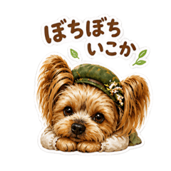 satsuki_20260505233224