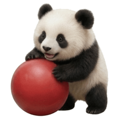 Kansai Baby Panda Stickers Daily Use