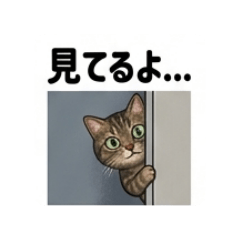 CHOCO_20260505223059