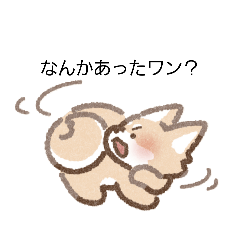 cut cat2