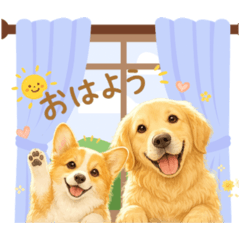 chiori_20260505230141