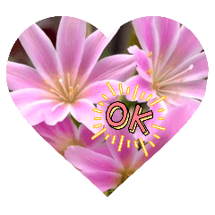 AIMI_20260505233047