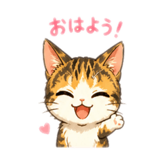 asamin_20260505234052