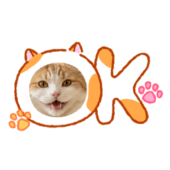 waka_20260505230651