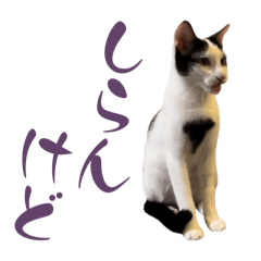 YMSN_20260505225803